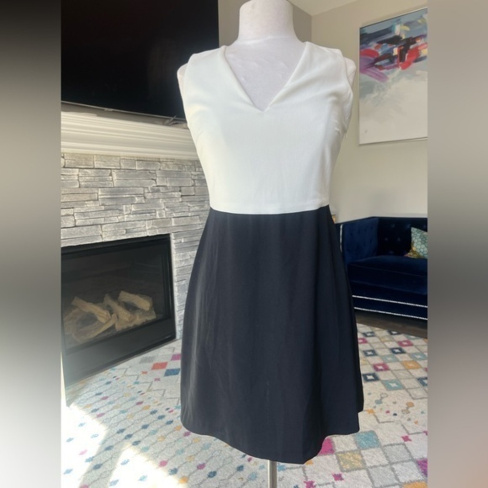 Zara Black & White V Neck Sheath Dress Size M